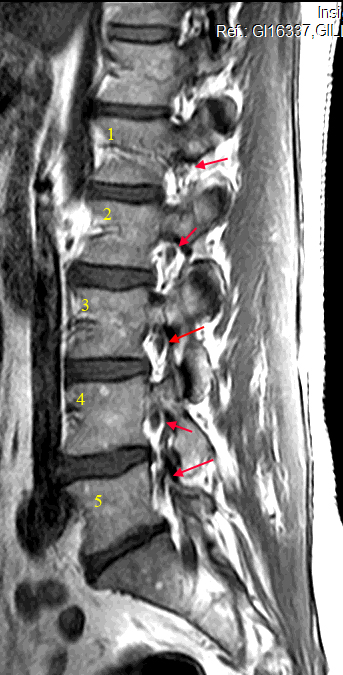 ChiroGeek.com